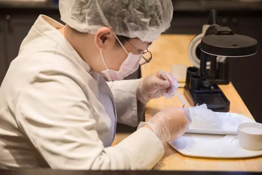 顶级金丝燕的燕窝,天然的官燕燕窝一般在哪里买