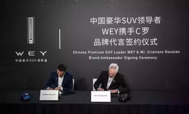 2018世界杯球迷狂欢,世界杯来了荷兰西班牙