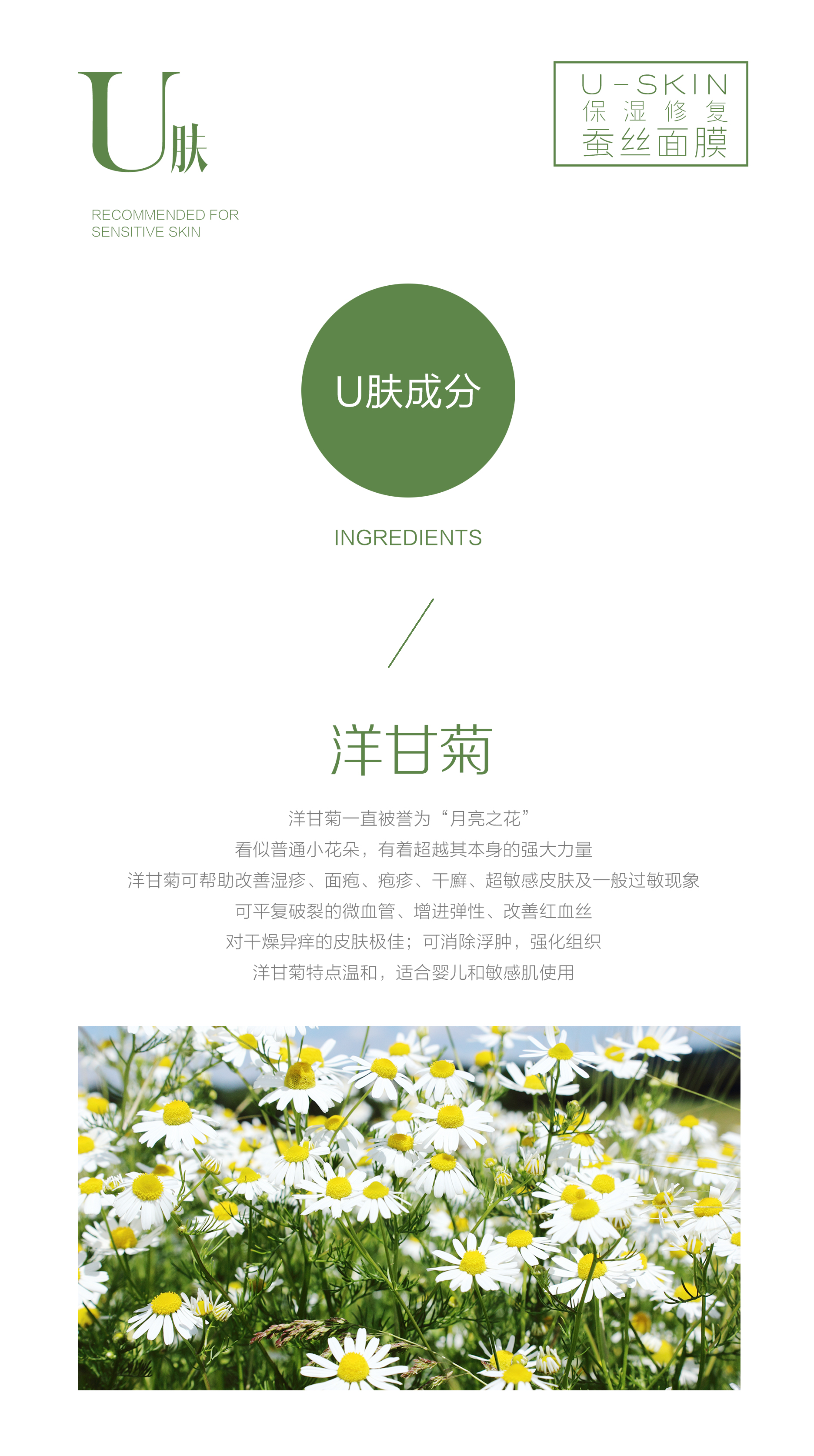 U肤｜最温柔的美肤力量—金黄洋甘菊