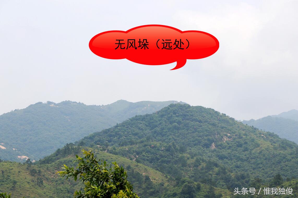 随州太白顶风景区简介视频,发现之旅神农架野人之谜