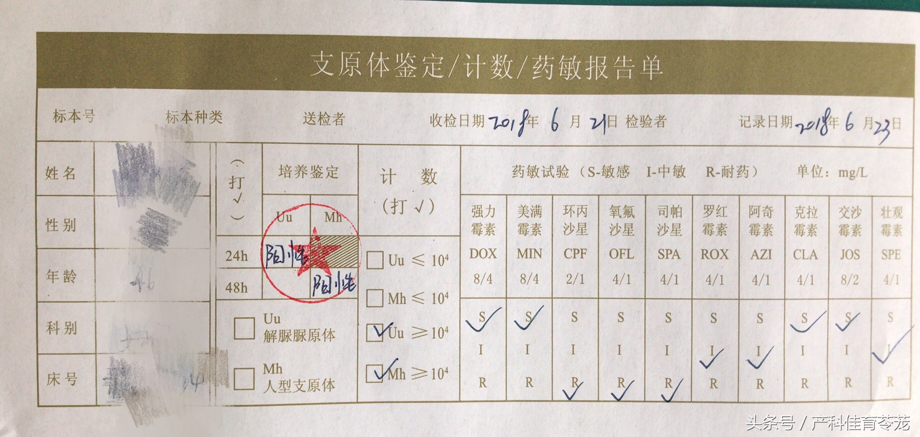 得过支原体是否容易再犯,针对支原体的药