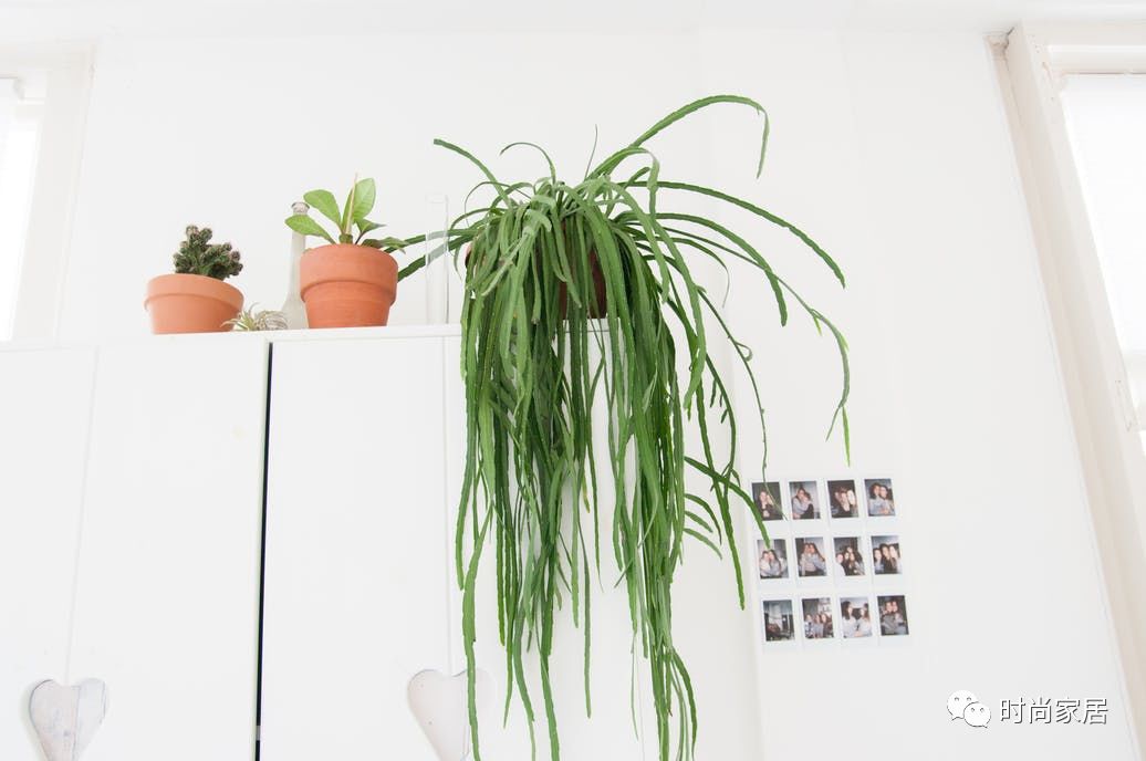 小户型房间少女系装修风格,年轻人简单装修家具设计