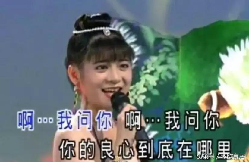 在荷中国人关注！新式*局骗**出现！竟然自称是移民局骗取