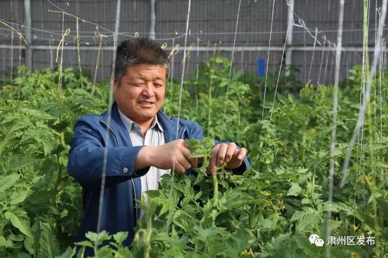 荒滩变成花海乡村富了百姓笑了,荒滩变成基本农田