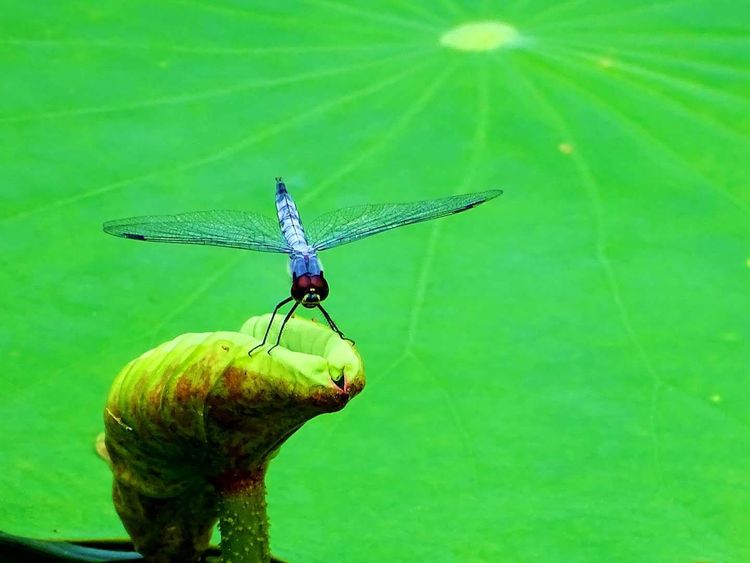 怎么拍摄快速运动物体,运动物体怎么拍摄视频