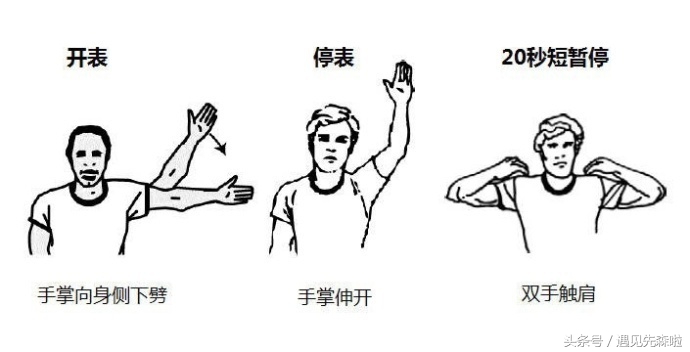 涨知识手势舞,nba裁判手势规则图片