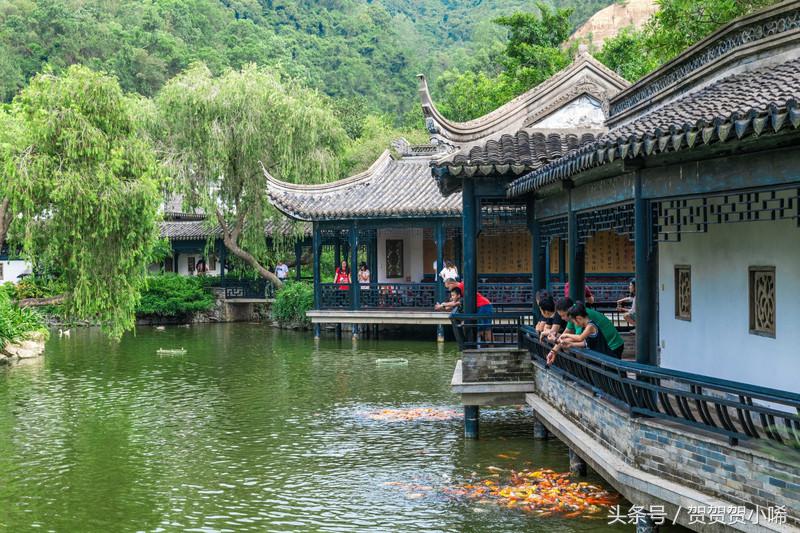 广东最大的岭南园林,广东最珍贵的私家园林