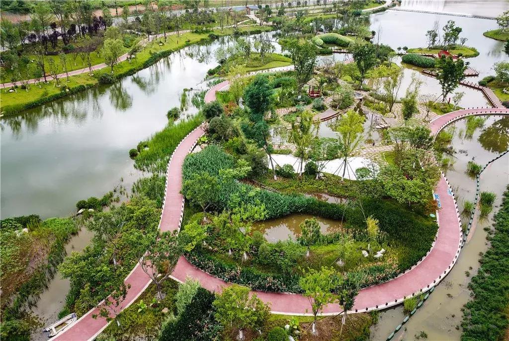 你熟悉的成都“四美”已经变成“五美”了，你知道那是什么吗？