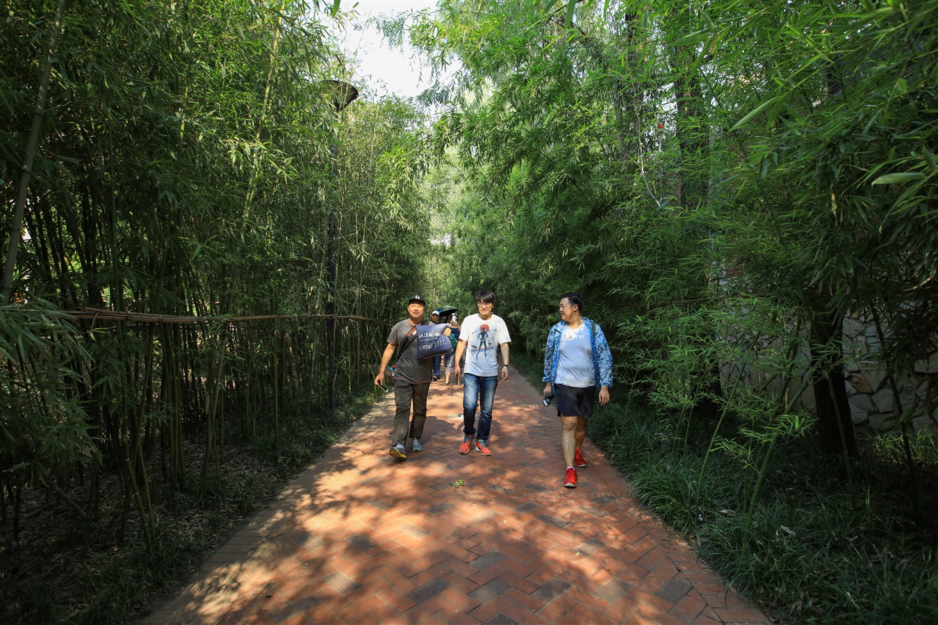 雪后蓝石大溪地,厦门蓝石大溪地