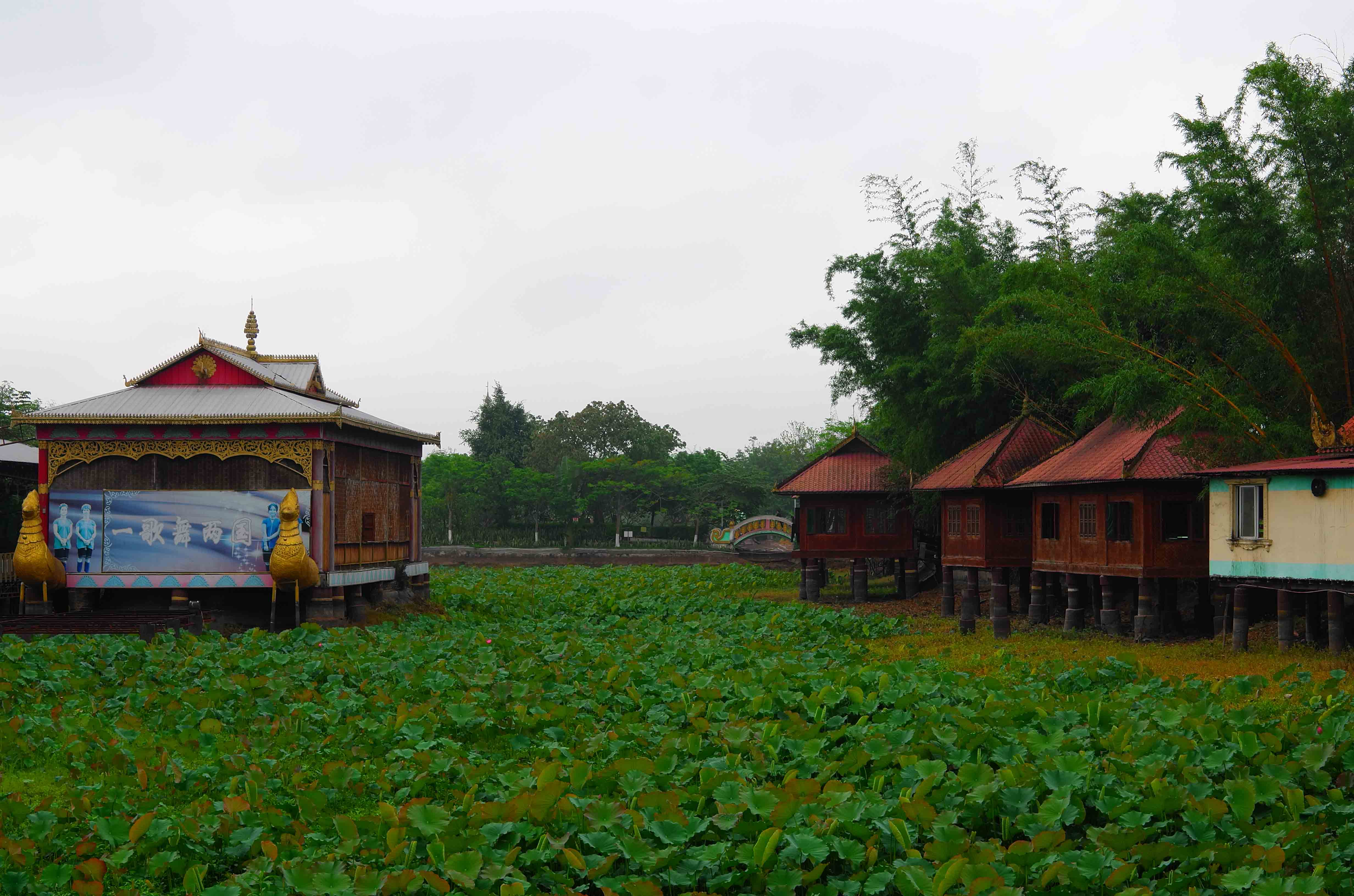 耗时2个月，花费17000，一个强迫症患者的疯滇行（五）