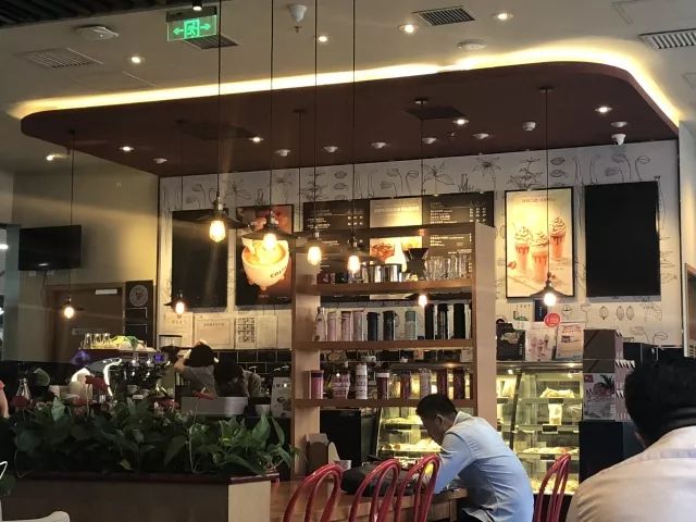 单品咖啡入坑推荐,单品咖啡测评