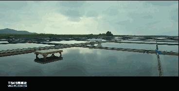 复仇与救赎免费阅读,复仇韩国电影催泪