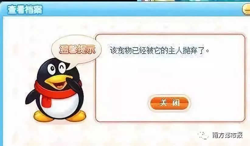 qq宠物为什么要停运,qq宠物停运还能放出宠物吗