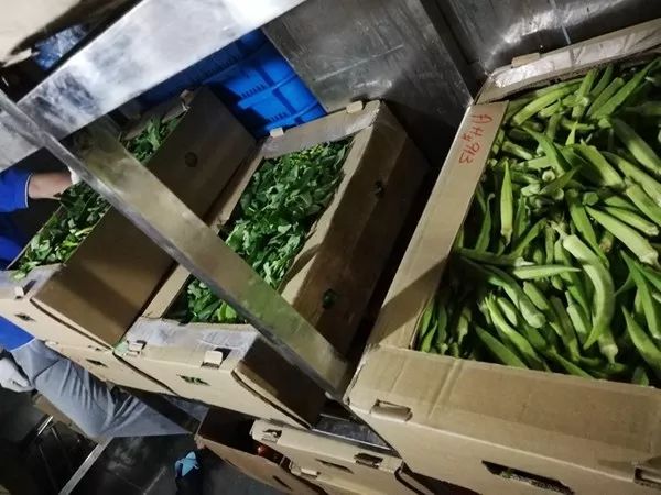 遇海盗咋办，淡水从哪来，风浪中如何定点作业……科考船这些冷知识你了解吗