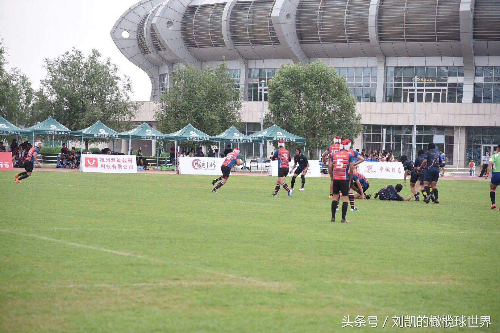 青少年15人制橄榄球比赛,全国青年7人制橄榄球