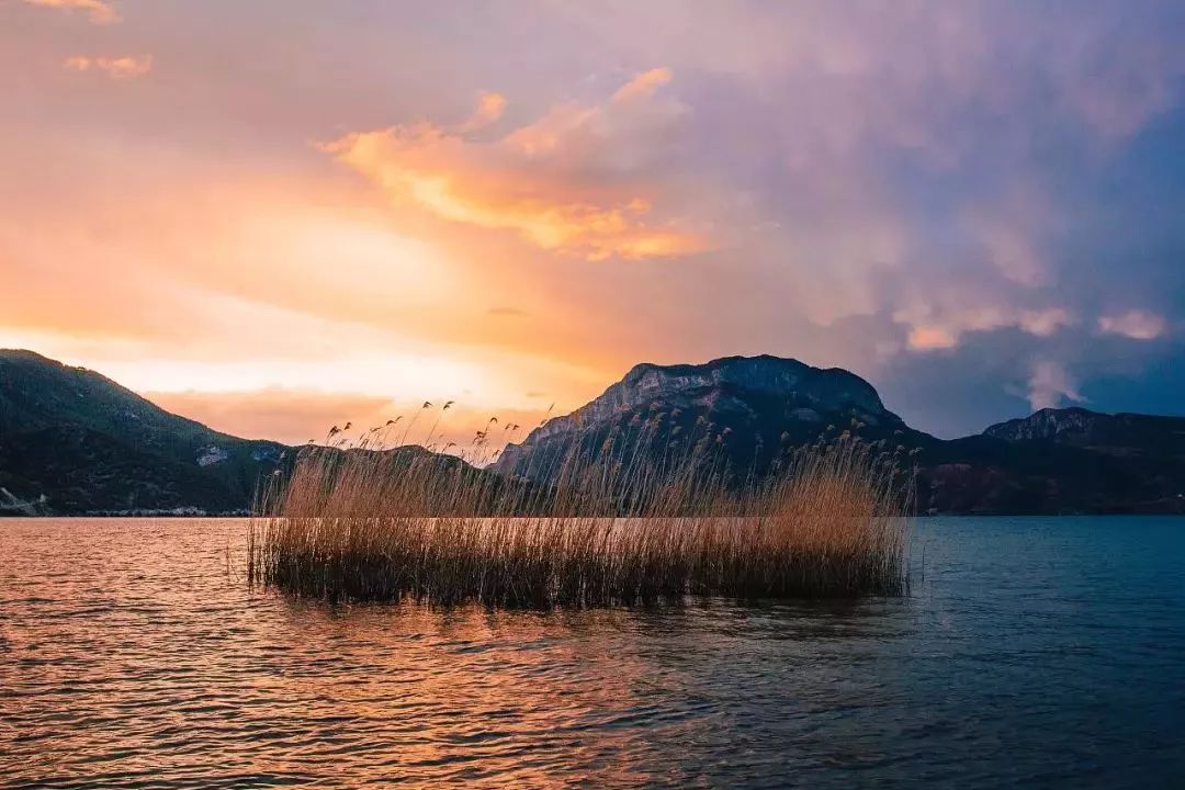 为什么选择读书,为什么选择四川