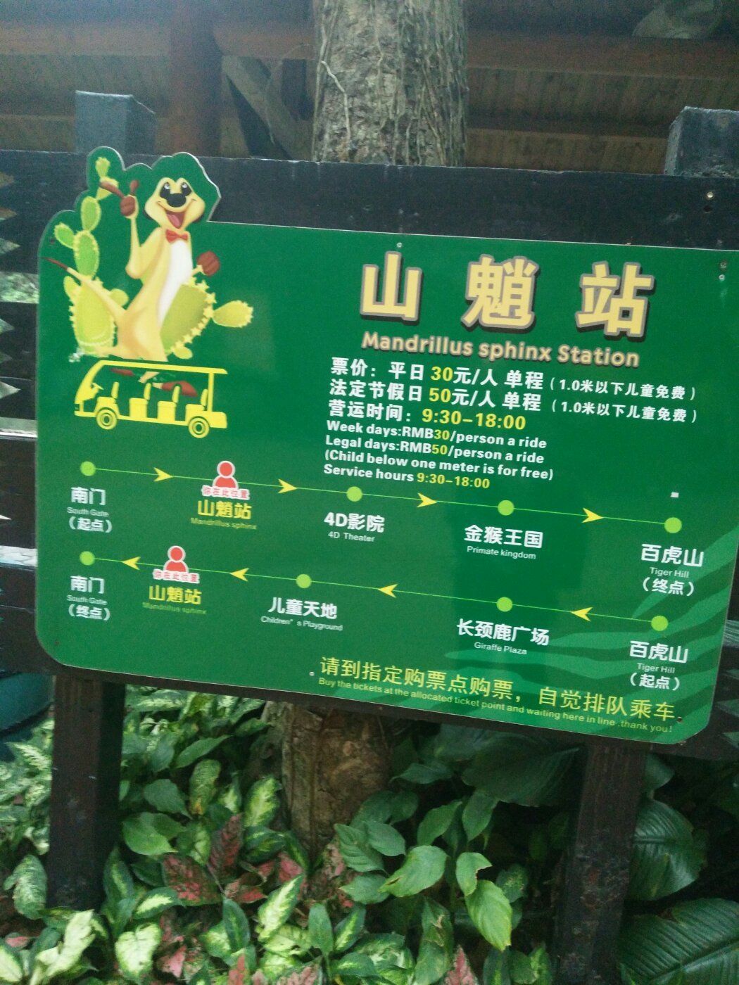 广州长隆野生动物世界旅游攻略,广州长隆野生动物王国攻略
