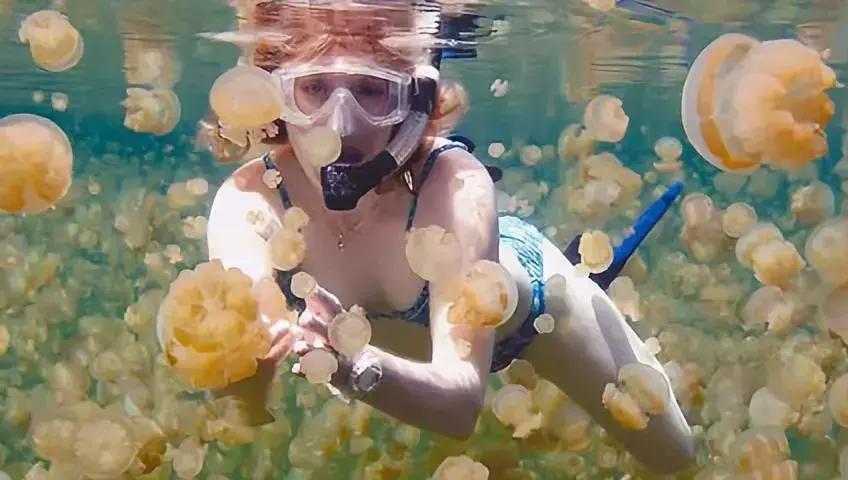 中国护照免签数量和落地签数量,中国普通护照免签和落地签国家