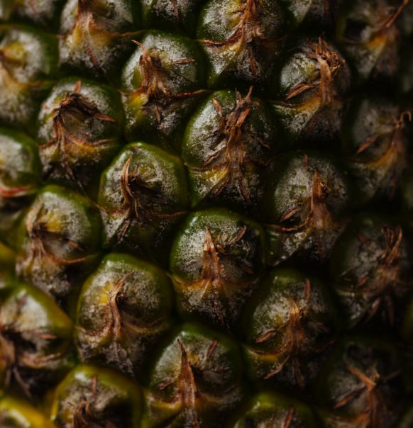 上海半岛酒店粤式点心团购,上海半岛酒店月饼预订