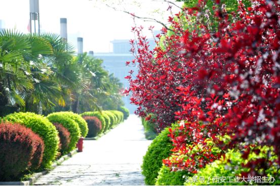 西南唯一有兵工背景的大学,西南唯一一个有兵工背景的大学