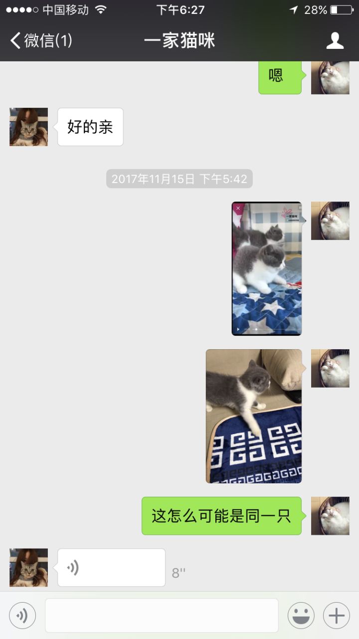 千万不要在网上买宠物,在网上买宠物被坑了怎么办