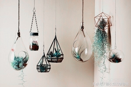 有品位有情调的舒适家,一个有情调的小家原版