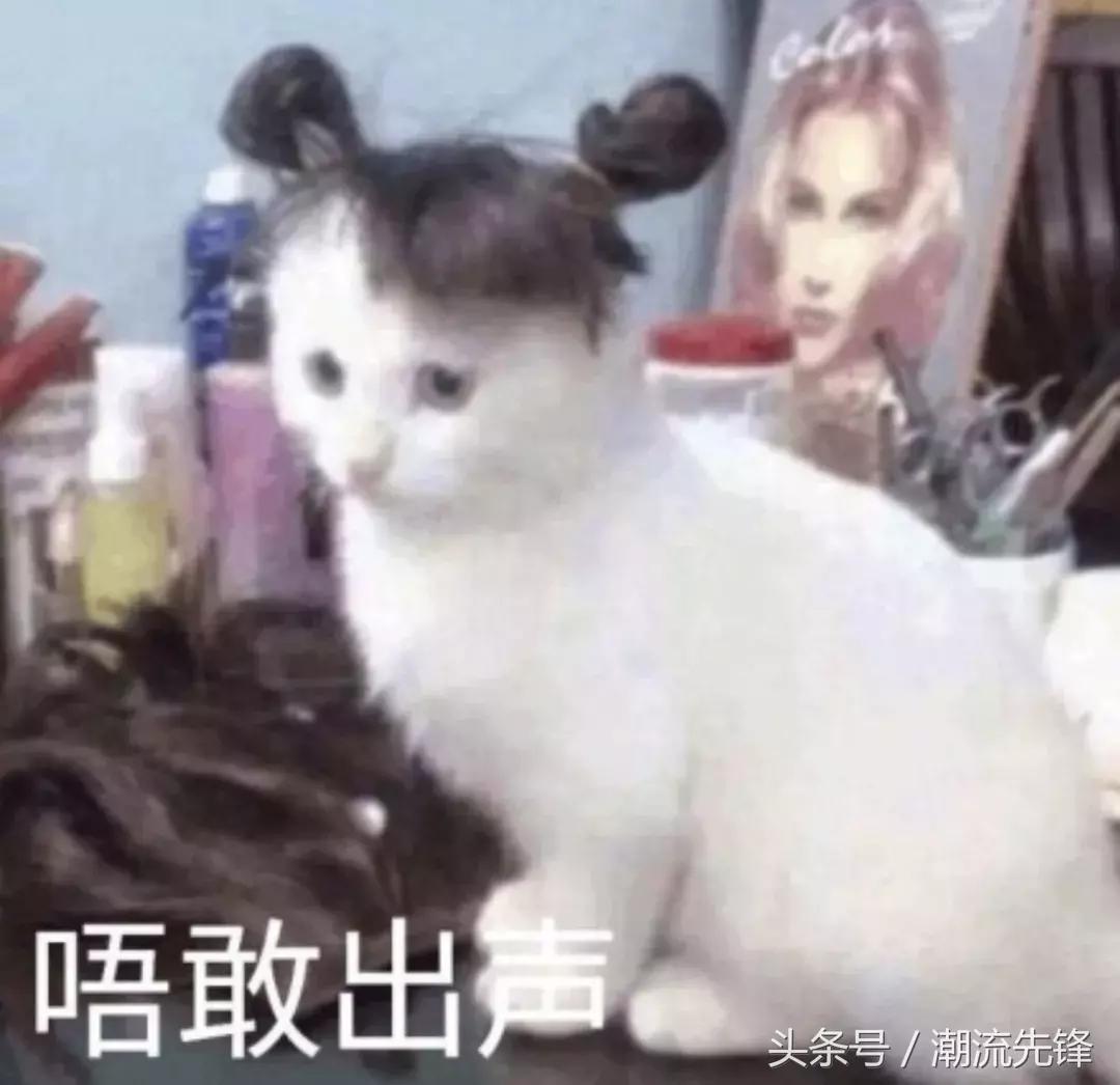 今夏最适合的凉拖,夏天给自己备几件羽绒服