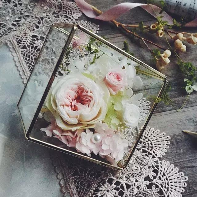 永生花是什么花,永生花被淋了