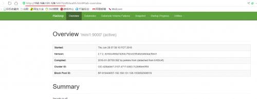 hadoop安装与伪分布式集群搭建,hadoop完全分布式集群搭建