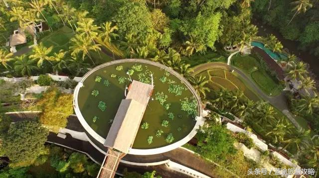 巴厘岛攻略自由行详细无火山,巴厘岛干货攻略