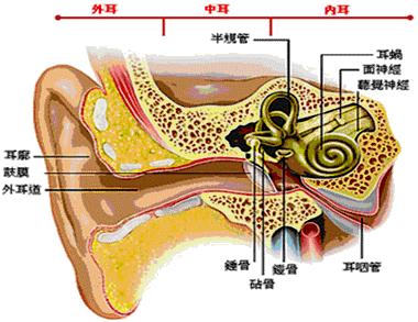 外耳道炎症和中耳炎如何治疗,中耳炎外耳道炎用什么药
