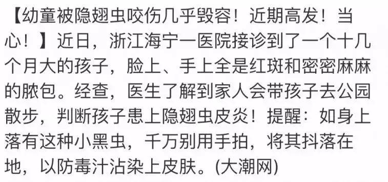 夏季宝宝如何预防虫咬皮炎,夏天宝宝招虫子怎么处理