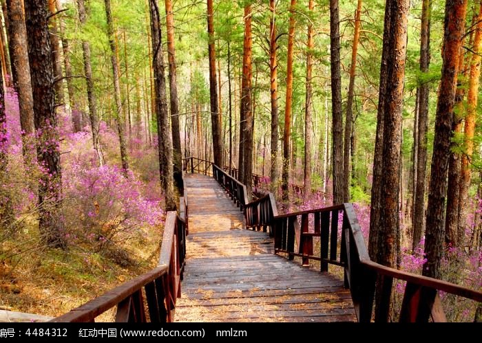 四柱对应的事业宫,四柱属木适合做什么行业