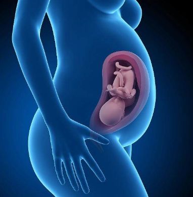 小婴儿是怎样出生的,婴儿从哪里出来