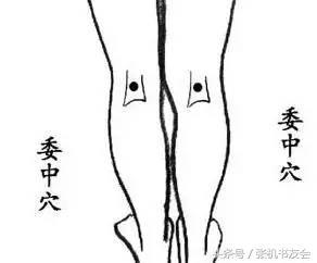 每天坚持拍打操10分钟,中老年二十八节穴位拍打操