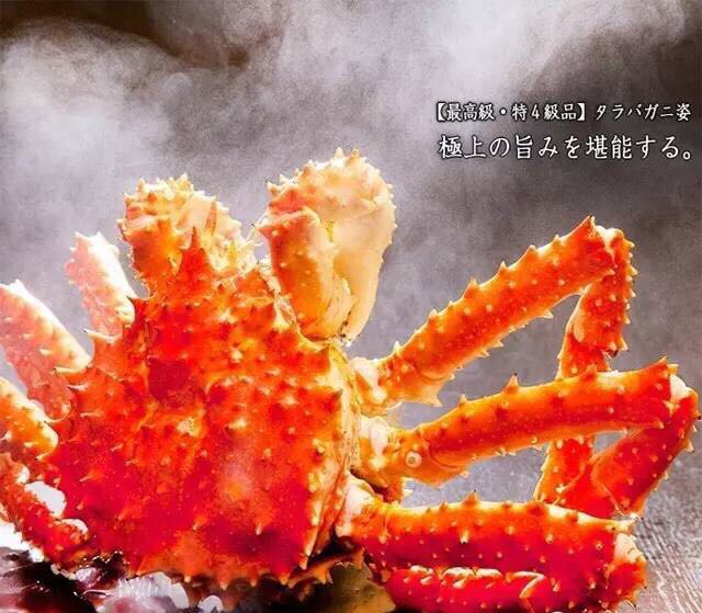 螃蟹的世界旅行,螃蟹的世界深度解析