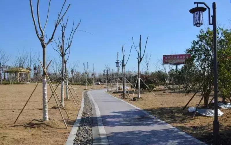 盐城盐都区健身,盐都健身步道