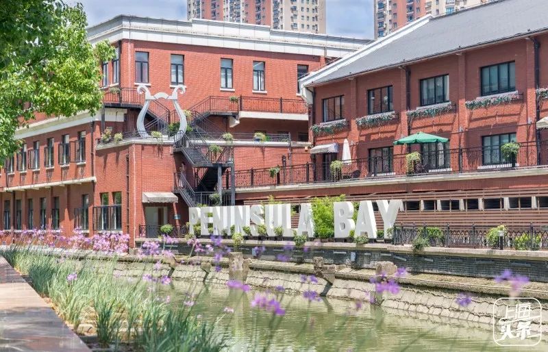 上海太震撼了的视频,上海城市风光中心