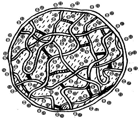 医生推荐：缓释、控释制剂用药总结（硝苯地平控释片）