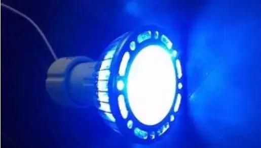 北京协和医院眼科专家李莹：孩子天天看屏幕，要配蓝光眼镜吗？