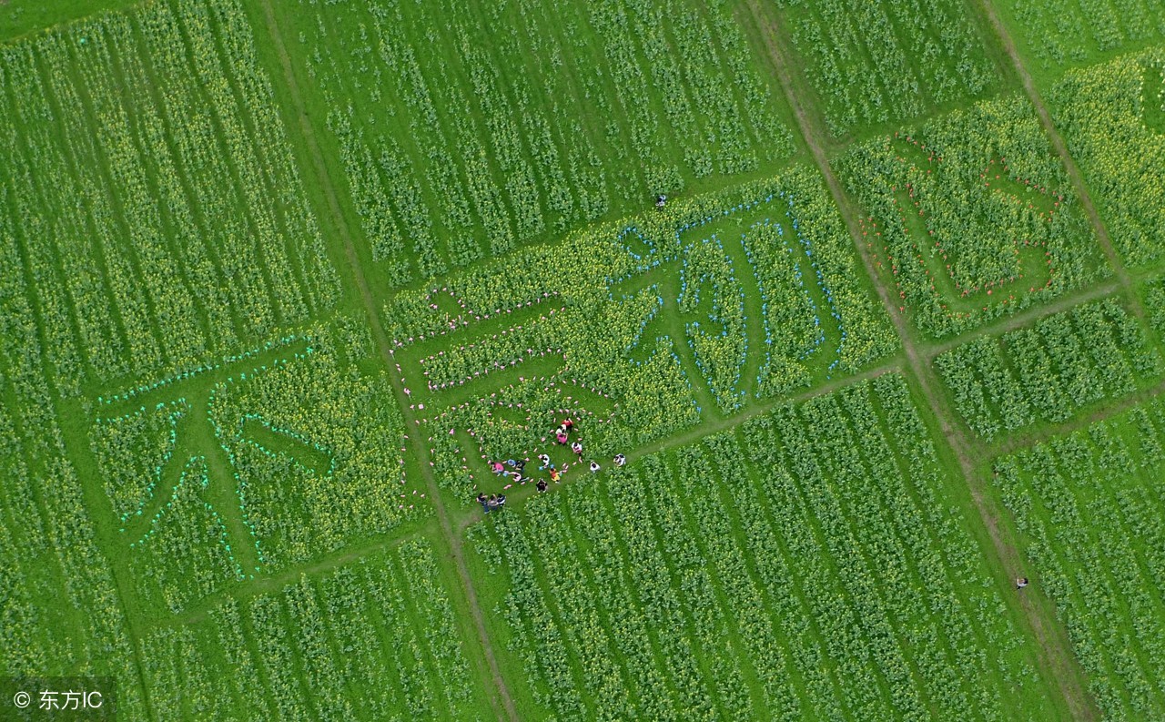 每天分享一个创业项目,分享创业项目