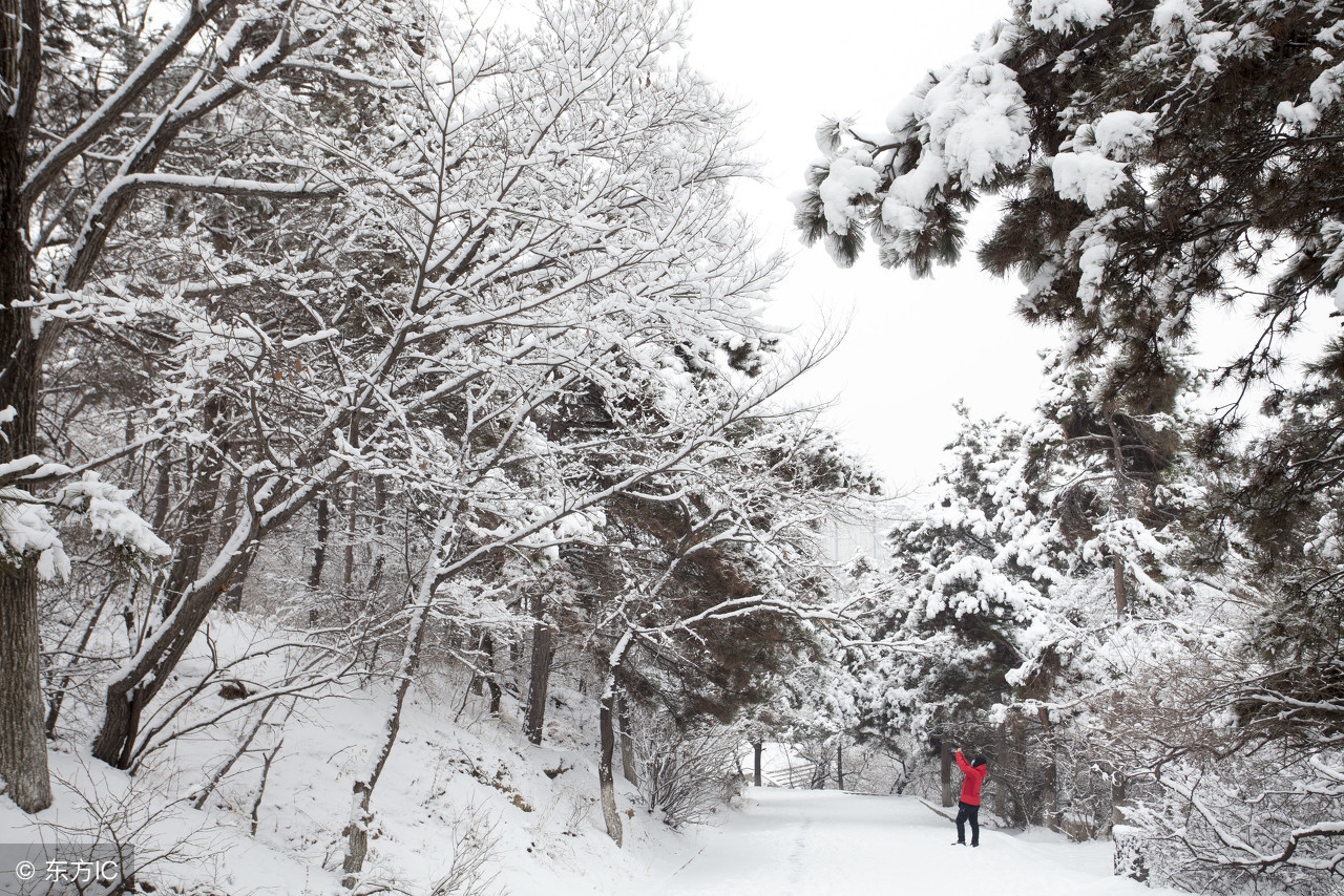 企业品牌策划品牌升级,企业品牌转型案例