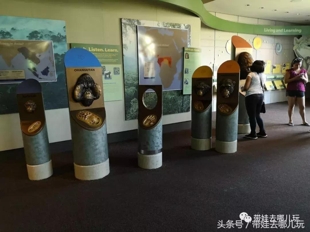 芝加哥夏季游玩攻略,芝加哥夏天游玩攻略