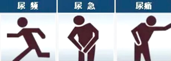 多喝水多排尿有利于尿路感染吗,女性尿路感染大量饮水能好吗