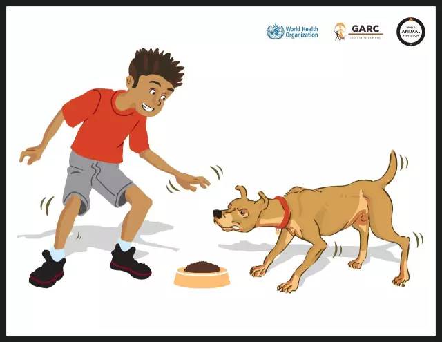 可怕！半岁宝宝被大狗叼走，头骨被咬穿，需做开颅手术！避免被狗咬应该这么做……