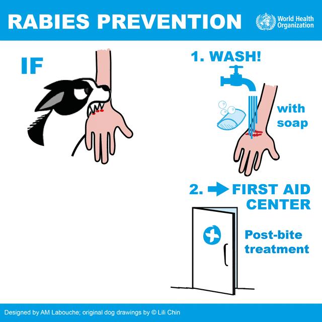 可怕！半岁宝宝被大狗叼走，头骨被咬穿，需做开颅手术！避免被狗咬应该这么做……