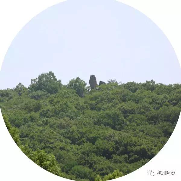 神游生态馆,抚顺新宾猴石森林公园天气预报