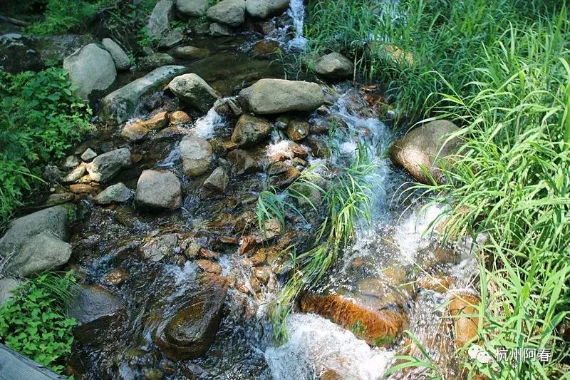 神游生态馆,抚顺新宾猴石森林公园天气预报