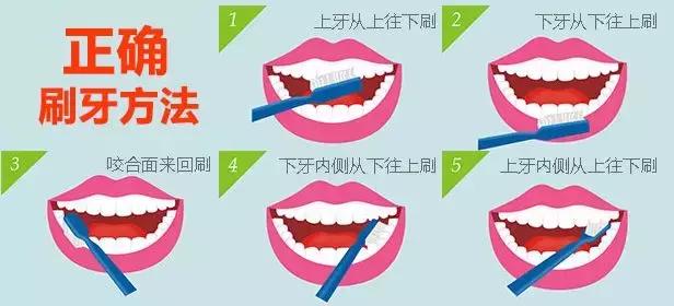 牙刷选得好牙医看得少｜2018年电动牙刷比较试验