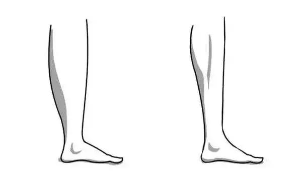 腿粗肚子大怎么减最快,男士大腿粗屁股大该怎么减